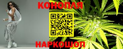 гидра Лесосибирск