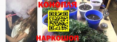 гидра Лесосибирск