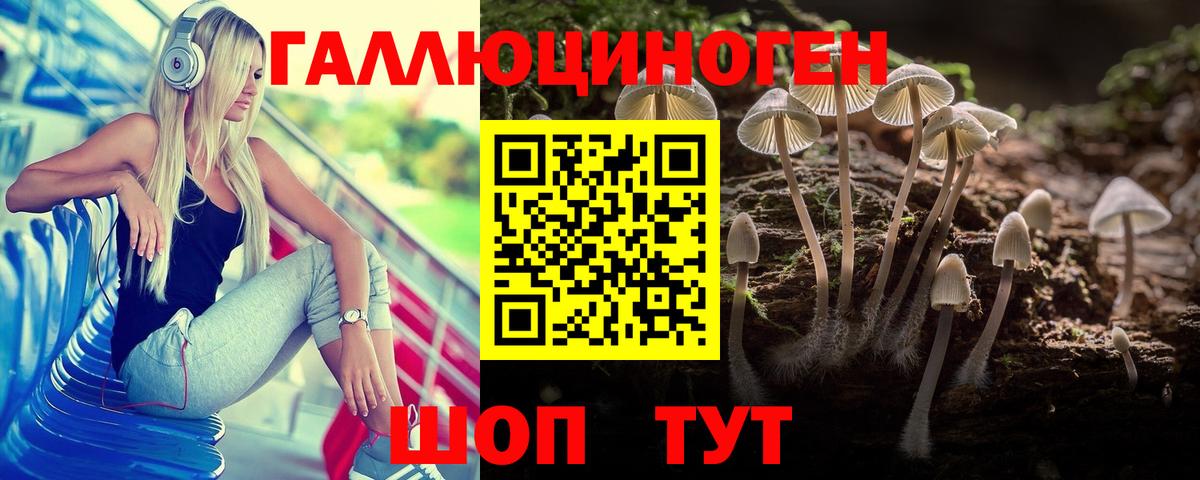 Галлюциногенные грибы GOLDEN TEACHER  Псилоцибиновые грибы Magic Shrooms  Вход с VPN  Химки 